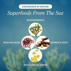 Snap Supplements Irish Sea Moss with Bladderwrack, Burdock Root & Iodine – Natural Sea Moss Supplement to Support Gut Health, Energy & Healthy-Looking Skin, 60 Vegan Capsules (1 Month Supply)