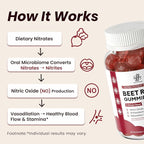 Beet Root Gummies – Beetroot Gummies for Circulation, Heart & Blood Pressure Support, Nitric Oxide Beets Gummies with Grape Seed, L-Theanine for Calm Mood, Sugar-Free Vegan, 30:1 Extract, 60 Count