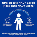 GNC Preventive Nutrition NMN, 150 mg, NAD+ Booster Supplement for Cellular Energy & DNA Repair, Anti-Aging Support, 60 Capsules, Gluten Free, 60 Servings
