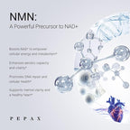 NMN Supplement 500mg - 99% Pure NMN Supplement Capsules for Increased NAD Levels & Healthy Aging - Third Party Tested Stabilized Capsules, cGMP Certified, 90 Liposomal NMN (45 Servings)