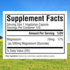 Innate Vitality Magnesium Glycinate 500mg | 70mg Elemental Magnesium Supplement - High Absorption, Non Buffered, Non-GMO & No Gluten - Vegan - Nerve Health - 120 Capsules (Pack of 2)