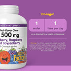Natural Factors, Kids Chewable Vitamin C 500 mg, Supports Immune Health, Bones, Teeth and Gums, Blueberry, Raspberry and Boysenberry, 90 Count (Pack of 1)