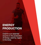 PROTOCOL FOR LIFE BALANCE Ubiquinol 200mg - Bioavailable CoQ10 Softgels - Heart Health Support - Oxidative Stress Quencher - Soy Free & Dairy Free - 60 Softgels