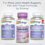SOLARAY Turmeric Supplement with Bromelain and Boswellia, 95% Curcumin, Turmeric Curcumin Supplement for Joint Support, Gallbladder, Liver Support, Non-GMO, Vegan, 60-Day Guarantee, 60 Servings
