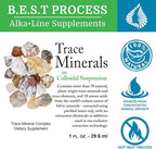 Morter Trace Minerals in Colloidal Suspension (6 Pack) Morter HealthSystem Best Process Alkaline — Nutrient Dense Trace Elements, Fulvic Minerals & Amino Acids