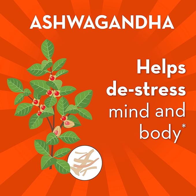 Align Probiotic, Gut Health + Stress Support, with Probiotics for Digestive Health and Ashwagandha to Help Calm Mind and Body*, #1 Doctor Recommended Brand‡, 21 Capsules (Pack of 2)