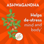 Align Probiotic, Gut Health + Stress Support, with Probiotics for Digestive Health and Ashwagandha to Help Calm Mind and Body*, #1 Doctor Recommended Brand‡, 21 Capsules (Pack of 2)