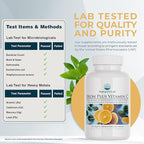 Nature's Lab Iron Plus Vitamin C Fast Melt Tablets - Gentle on The Stomach Carbonyl Iron, High Absorption for Healthy Red Blood Cells* - 120 Tablets