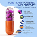 Milk Thistle Liver Support Supplement - 540mg Silymarin Complex with Artichoke, Dandelion Root & Turmeric - Supports Liver Health, Digestion & Metabolism - 60 Capsules