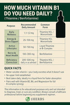 Vitamin B1 Liquid Drops Supplement – Thiamine HCl 100mg – Vitamin B1 Liquid for Energy Metabolism Nervous System Support – Thiamine Liquid Vitamins for Adults – 1 fl oz