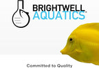 Brightwell Aquatics Florin-I Iodine Supplement for Crustaceans – Supports Molting, Growth & Shell Strength – Safe for Freshwater, Brackish & Planted Tanks, 20L