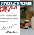 BioActive Vitamin B12 - 1000 mcg, Contains All 3 Coenzyme Forms (Methyl, Adenosyl & Hydroxy) Plus Methylfolate Cofactor | Supports Energy, Metabolism & Mood | Vegan, Non-GMO (60 Servings)