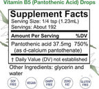 HoneyCombs Vitamin B5 Liquid Drops Pantothenic Acid 500% DV Liquid B5 Supplement Vegan Vitamin B Complex Liquid Fast Absorbing Vitamin Drops Daily Nutritional Support for Adults (8oz)