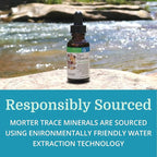 Morter Trace Minerals in Colloidal Suspension (3 Pack) Morter HealthSystem Best Process Alkaline — Nutrient Dense Trace Elements, Fulvic Minerals & Amino Acids