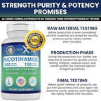 Genex Formulas - Nicotinamide 500mg Vitamin B3 Flush Free Niacin Capsules for Healthy Skin - Niacinamide Supplement Pills Help Produce Keratin & Support Skin Cell Health & Energy - (100 Capsules)