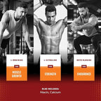 Bundle of Nootropic Memory Supplement and Energizing Nitric Oxide Supplement for Men - for Brain Boost and Natural Energy Booster - for Intense Muscle Growth Performance Endurance and Recovery