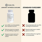 Longvida Curcumin 500 mg 60 Capsules - High Absorption 285x More Bioavailable Curcumin Supplement Non-GMO, Vegan & Gluten Free 60 Servings