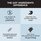 JUST INGREDIENTS Probiotic Complex - 60 Capsules, 5 Billion CFU, Prebiotics, Gut Health Support