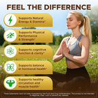 10-in-1 Maca Root Liquid Drops, Maca Root with Ashwagandha, Nettle, Fenugreek, Beet Root, and L-Arginine, Maca Supplement for Overall Support - 2 fl oz