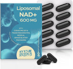 NAD+ Supplement 1600mg Extra Strength - Liposomal NMN Alternative with Resveratrol, Urolithin A, CoQ10, Quercetin & ALA - Mitochondrial Energy & Anti-Aging, Cell Regeneration, 60 Softgels