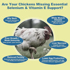 Selenium & Vitamin E Powder for Chickens, Selenium for Chickens, Immune System, Muscle Support & Prevents, Improve Wry Neck, Selenium, Vitamin E Supplements, Suitable for All Poultry, Chicken & More