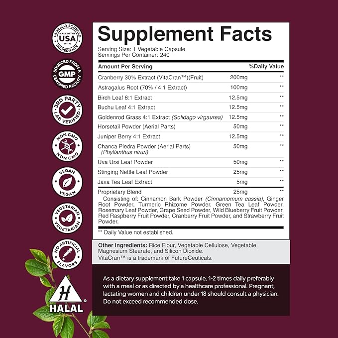 Advanced Kidney Support Supplement - Kidney Cleanse Detox & Repair Cranberry Extract Capsules with Uva Ursi, Stinging Nettle & Astragalus for Kidney Health - Urinary Tract Health - 240 Count