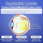 Lutein and zeaxanthin Eye Vitamins Gummies, Bilberry, Astaxanthin, Eye Vitamins for Kids and Adult Vision&Blue Light Support, Overall Eye&Macular Health-60 Count