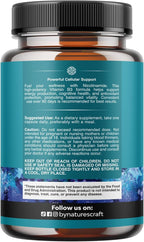 Vitamin B3 Niacinamide 500mg Capsules - Mitochondrial Energy and Potent Skin Supplement - Vitamin B3 Niacin Flush Free and Nicotinamide 500mg - Flush Free Niacin Supplement - 60 Count