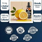 Methylfolate 15mg with Methyl B12 Liquid Drops | Active 5-MTHF Folate & B Complex Vitamins (B2 Riboflavin & B6) | Lemon Flavor Sublingual丨MTHFR Support Supplement for Methylation Mood & Energy–2 fl oz