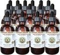 Hawaii Pharm Saw Palmetto Alcohol-Free Liquid Extract, Professional Grade, Small Batch Crafted Saw Palmetto (Serenoa Repens) Dried Berry Glycerite Natural Herbal Supplement, 15x4 fl.oz