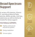 Solgar B-Complex with Vitamin C Stress Formula, 250 Tablets - Energy Metabolism, Nervous System & Immune Support - Non-GMO, Vegan, Gluten Free, Dairy Free, Kosher - 125 Servings