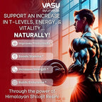 VASU Ayurveda Himalayan Shilajit Resin 400mg – Lab Tested Natural Energy Booster with Fulvic Acid & 85+ Trace Minerals – Pure Shilajit for Men & Women – 100 Days Supply for Strength & Stamina (2-Pack)