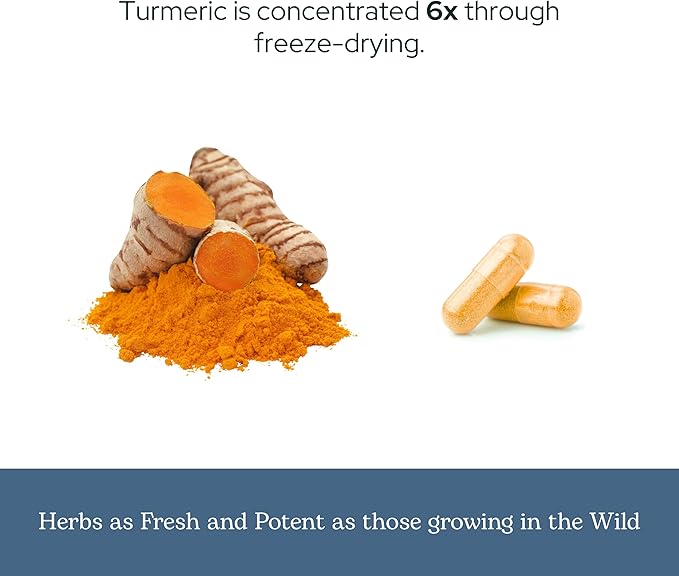 Eclectic Herb - Organic Turmeric Capsules | Musculoskeletal System & Joint Health Support | Herbal Supplement | Vegan, Non-GMO, Gluten Free, Freeze-Dried (90 CT | 395 mg)