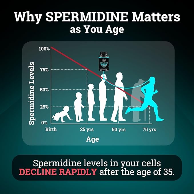 Spermidine Supplement (1440mg of 99% Pure Spermidine Supplements For Women & Men) 4 Months Supply (100X More Potent Than Wheat Germ Extract) 12MGS Per Serving For Cellular Health, Anti-Aging & Energy