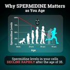 Spermidine Supplement (1440mg of 99% Pure Spermidine Supplements For Women & Men) 4 Months Supply (100X More Potent Than Wheat Germ Extract) 12MGS Per Serving For Cellular Health, Anti-Aging & Energy