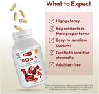 ANDREW LESSMAN Iron Plus 180 Capsules - 18mg Iron, 100% Pure Amino Acid Chelated Iron (Glycinate, Aspartate), Plus Vitamin C for Increased Absorption, Small, Easy to Swallow Capsules, No Additives