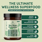 Natural Rems Sea Moss Gummies 16-in-1 - Ashwagandha Black Seed Oil Bladder Wrack Turmeric Vitamin C & D3 with Manuka Burdock Root Dandelion Yellow Dock Elderberry Apple Cider Vinegar (Green Apple)