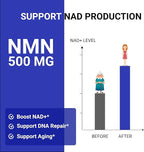 UpNourish NMN 500mg 120 Capsules - Beta Nicotinamide Mononucleotide NAD Supplement - Nicotinamide Riboside Alternative for Women & Men