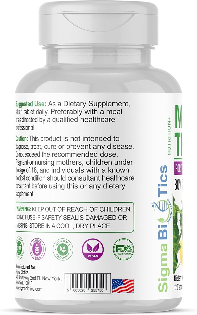 Milk Thistle Extract 9105mg – Fortified with Dandelion Root, Turmeric, Black Pepper, NAC, Choline & Taurine – 80% Standardized Silymarin for Liver Support – GMO-Free, Gluten-Free, Soy-Free 120 Tablets