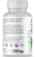 Milk Thistle Extract 9105mg – Fortified with Dandelion Root, Turmeric, Black Pepper, NAC, Choline & Taurine – 80% Standardized Silymarin for Liver Support – GMO-Free, Gluten-Free, Soy-Free 120 Tablets