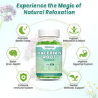 2 Pack Organic Valerian Root Gummies, Natural Calm to Help Relaxation, Herbal Supplement for Mood Support, Melatonin Free, Non-GMO, Gluten Free, Vegan, Green Grape Flavor, 120 Count