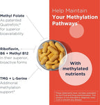 Designs for Health Homocysteine Supreme - Methylated B Vitamins with Riboflavin, B6, B12, Folate, L-Serine & TMG for Brain Support & Heart Health - Methylated Multivitamin (60 Capsules)