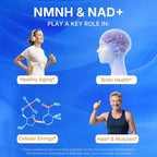 Sunshine & Rain Steady Energy Without Caffeine Crashes – Liposomal NMNH + NR + PQQ NAD⁺ Support Capsules for Cellular Energy, Focus & Healthy Aging | 120 Capsules