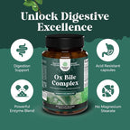 Bundle of Digestive Enzymes with Ox Bile Supplements for No Gallbladder for Pancrease Cleanse & Detox and High Absorption Magnesium Sleep Supplement Magtein Magnesium L-Threonate and Apigenin Theanine