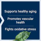 Life Extension Pycnogenol French Maritime Pine Bark & N-Acetyl-L-Cysteine Immune, Respiratory & Liver Health Supplements, 60 Capsules Each