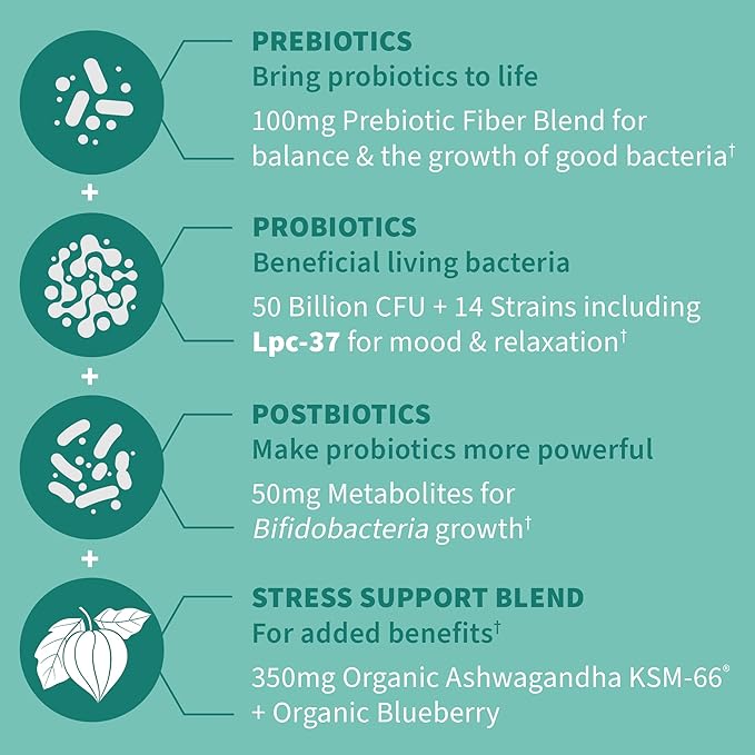 Garden of Life Dr. Formulated Pre, Post & Probiotics Calm 50 Billion CFU Daily 3-in-1 Complete Supplement with Ashwagandha – Mood Support, Digestive & Immune Support, 30 Vegetarian Capsules