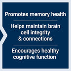 Life Extension Cognitex Basics, 30 Softgels - Multi-Nutrient Formula for Brain Health Support, Targeted Nutrition for Memory, Focus, Attention & Overall Cognitive Performance - Non-GMO, Gluten-Free