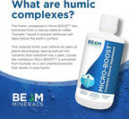 BEAM Minerals Micro-Boost and Electrolyze Advanced Set | Advanced Electrolyte & Micronutrient Support | 100% Bioavailable, Ionized Format