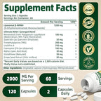 NMNH Supplement 2000mg, Liposomal Nicotinamide Mononucleotide Alternative for NAD+ and Healthy Aging - with Resveratrol, Urolithin A, TMG, CoQ10 - 120 Capsules (β-Dihydronicotinamide Mononucleotide)