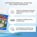 Eidon Liquid Potassium Supplement - Potassium Chloride Drops, Essential Electrolyte for Cell Function, Bioavailable Ionic Minerals, All Natural, No-Preservatives or Additives - 18 oz (Pack of 2)